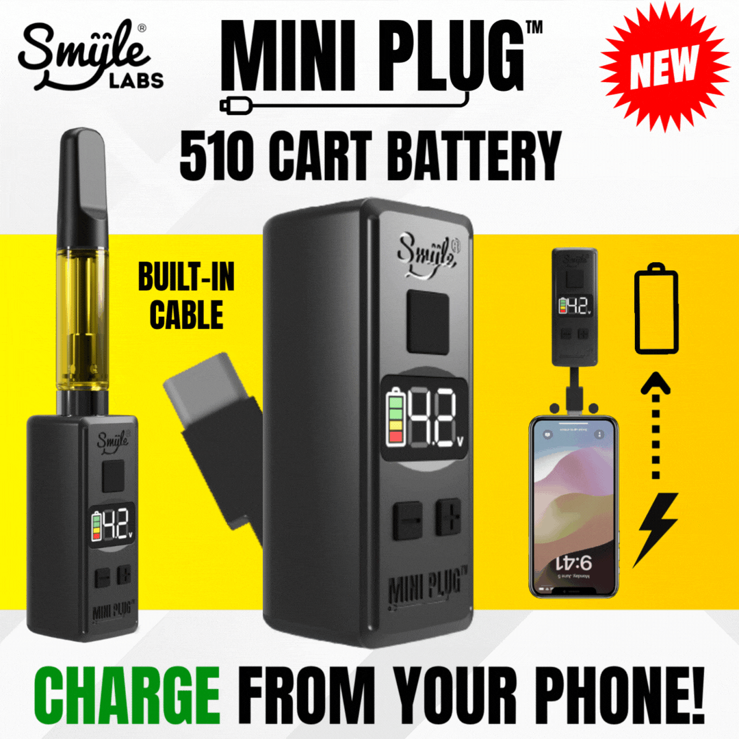 Mini Plug 510 Cart Battery with Built-in USB-C Cable, Adjustable Voltage, LED Display
