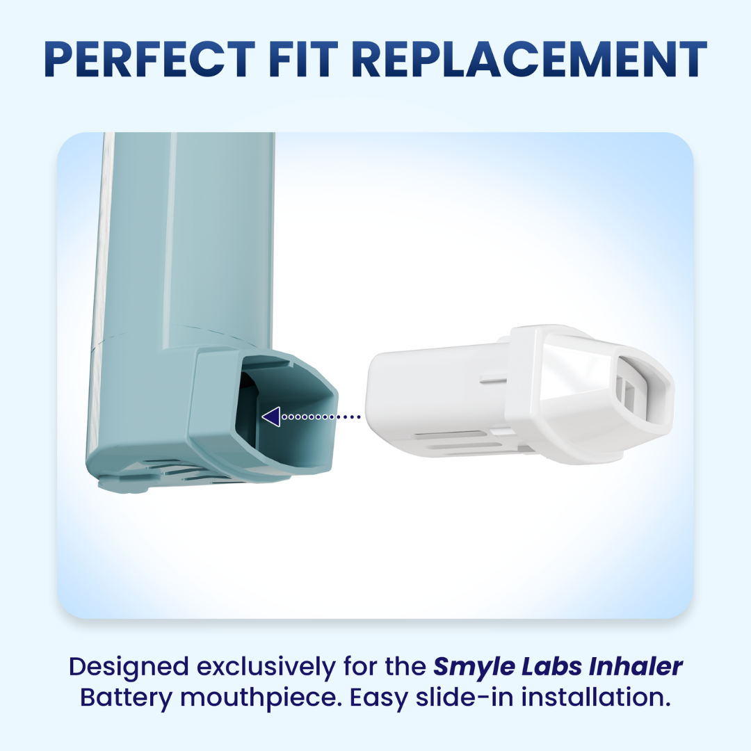 Inhaler 3-PACK Replaceable Filters