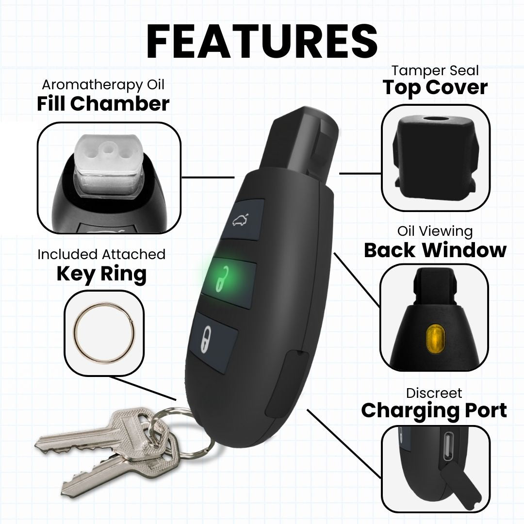 Keychain device with features 