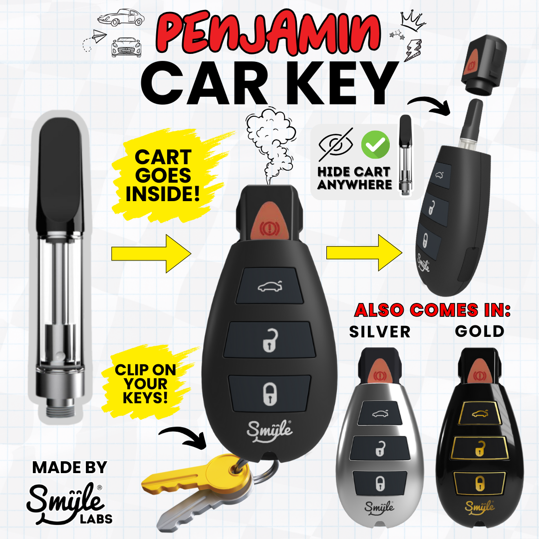 Car Keys Colour In Car Key Penjamin by Smyle™ Labs | Shop Online