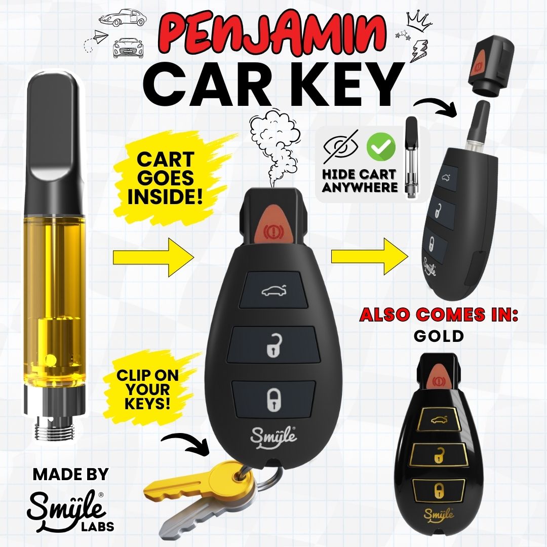 Penjamin Car Key by Smyle™ Labs