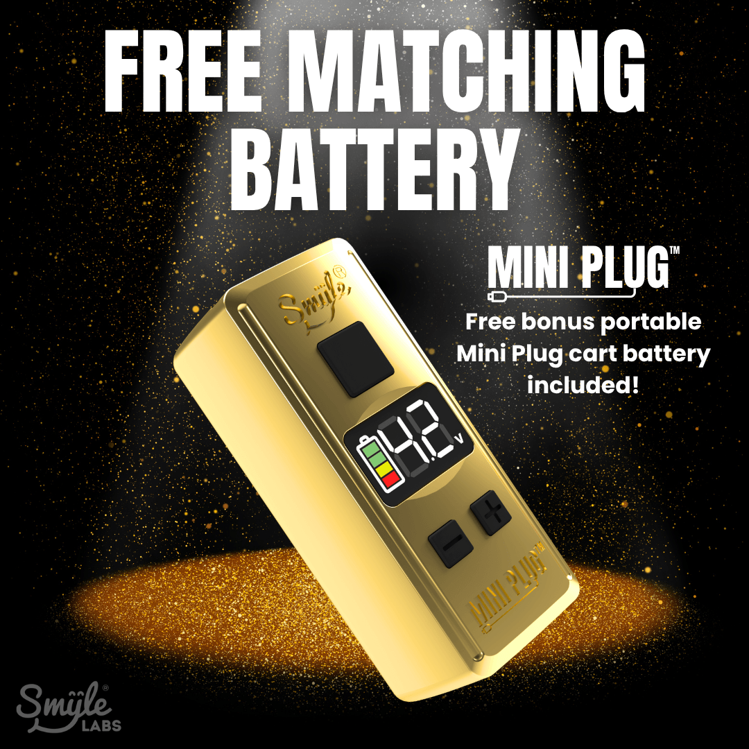 Robotjamin Cart Battery by Smyle Labs (Limited Edition) Robotjamin Cart Battery by Smyle Labs (Limited Edition)