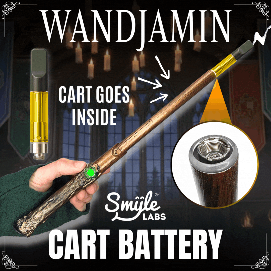 Wandjamin Cart Battery with LED Light & Slide to Hide Feature